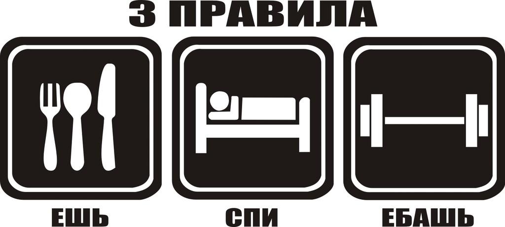 фотошторы раздела ешь спи картинки всегда