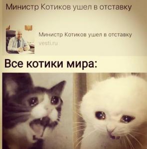 scale_1200 - 2020-02-21T104507.543.jpg