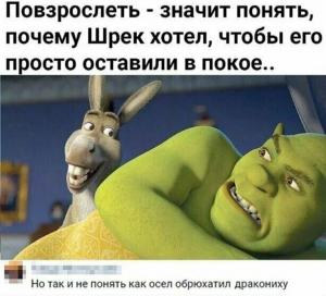 scale_1200 - 2020-02-17T140226.250.jpg