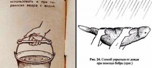 scale_1200 - 2020-02-21T103218.871.jpg