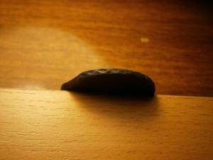 крестовик 046.JPG