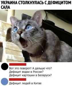 scale_1200 - 2020-02-19T123550.025.jpg