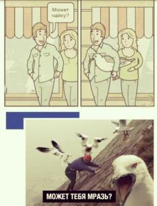 scale_1200 - 2020-02-12T094227.955.jpg