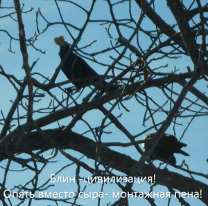 Снимок экрана (884).png