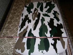 камуфляж 017.JPG