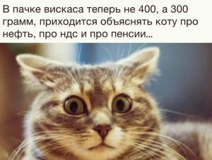 scale_1200 - 2020-02-12T134509.674.jpg