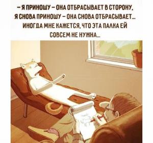 scale_1200 - 2020-02-14T083546.191.jpg