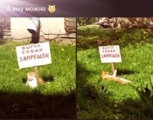 scale_1200 - 2020-02-14T143704.288.jpg