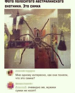 scale_1200 - 2020-02-12T094358.744.jpg