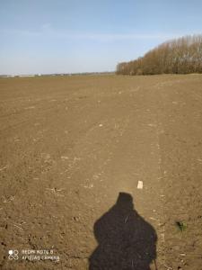 WhatsApp Image 2020-03-28 at 20.19.05.jpeg