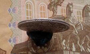 2020-02-27 12.48.53.jpg