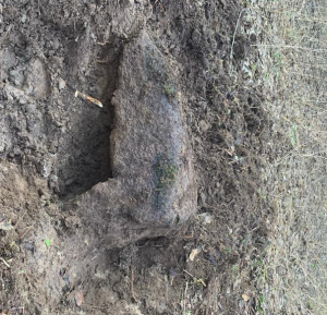 Снимок экрана (1015).png