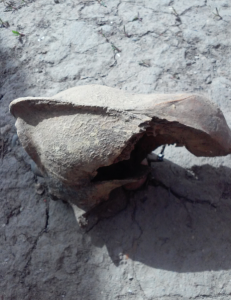 Снимок экрана (1096).png