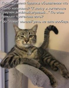 scale_1200 (5) (1).jpg