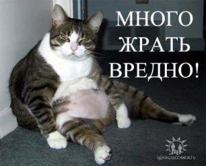 Объелся.jpg
