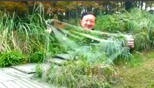 Снимок экрана (990).png