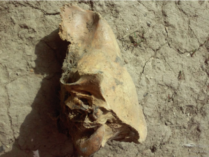 Снимок экрана (1098).png