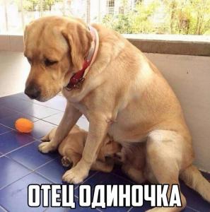 scale_1200 (11) (1).jpg