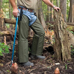 Снимок экрана (1018).png