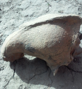 Снимок экрана (1095).png