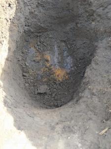 WhatsApp Image 2020-03-28 at 20.19.04.jpeg