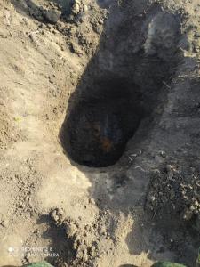 WhatsApp Image 2020-03-28 at 20.19.04(1).jpeg