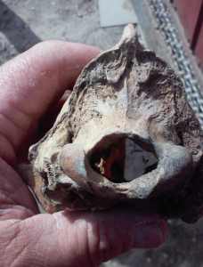 Снимок экрана (1100).png