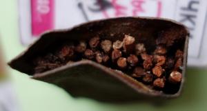 DSC03236_новый размер.JPG