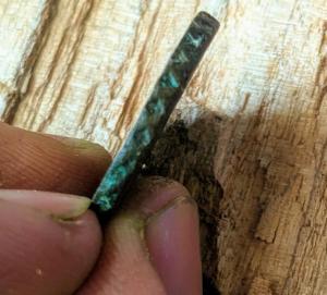 WhatsApp Image 2020-04-14 at 05.56.29.jpeg