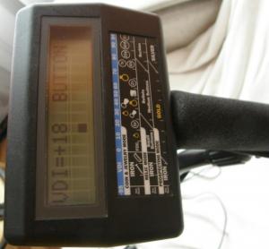 P1010037_cut-photo.ru (1).jpg