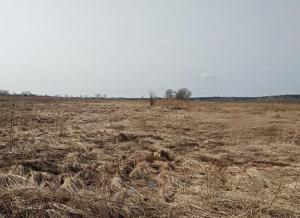 1 — копия.jpg