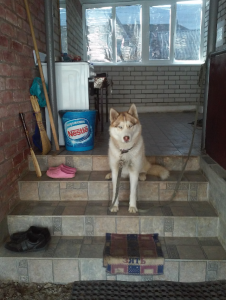 Снимок экрана (1214).png