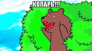 медведь в подмосковья.jpg