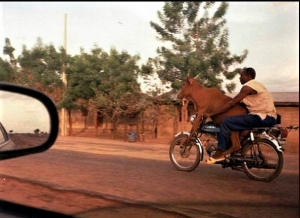 Снимок экрана (1453).png