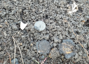 Скриншот 01-05-2020 164932.png