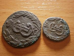 сибирь и денга 029.JPG