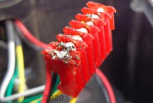 DSC03604-1-1-1-ДОБРЕ 3.jpg