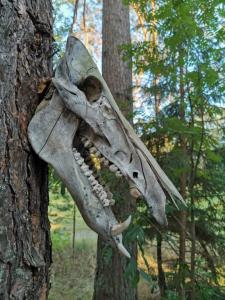 IMG-20200715-WA0013 (1).jpg