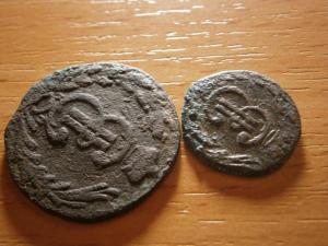 сибирь и денга 030.JPG