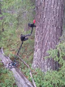 Новый друг.jpg