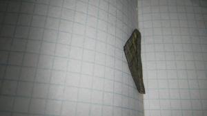 2020-10-07 21-39-43.JPG