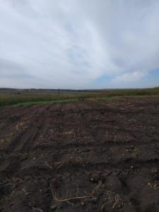 WhatsApp Image 2020-10-19 at 11.47.53.jpeg