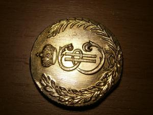 пятак в золоте 003.JPG