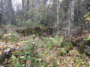 IMAG0136_новый размер.jpg