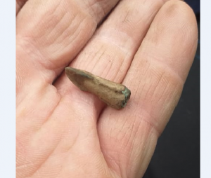 Скриншот 22-10-2020 170151.png