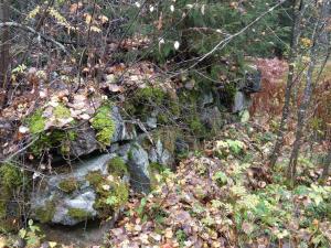 IMAG0137_новый размер.jpg