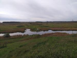 WhatsApp Image 2020-10-19 at 11.47.37.jpeg