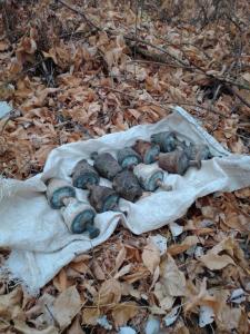 изоляторы 1.jpg