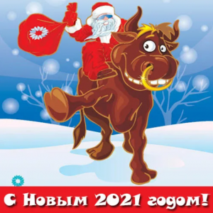 2020-12-30 16_26_33-новый год 2021_ 2 тыс изображений найдено в Яндекс.Картинках.png