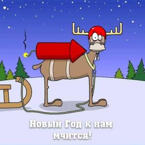 novogodnie-kartinki-2018-1.thumb.jpg.b82e2662ed8b07daa03256a8937b5f63.jpg